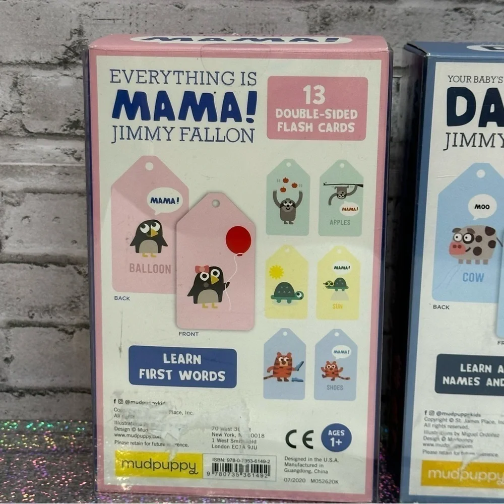 Everything Is Mama! DADA! Double Sided Flash Cards Jimmy Fallon Lot of 2 NEW